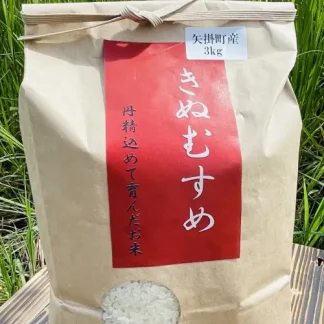 【無洗米】炊き立て最高な艶と味！冷めてもちもち！ ☆きぬむすめ3kg☆